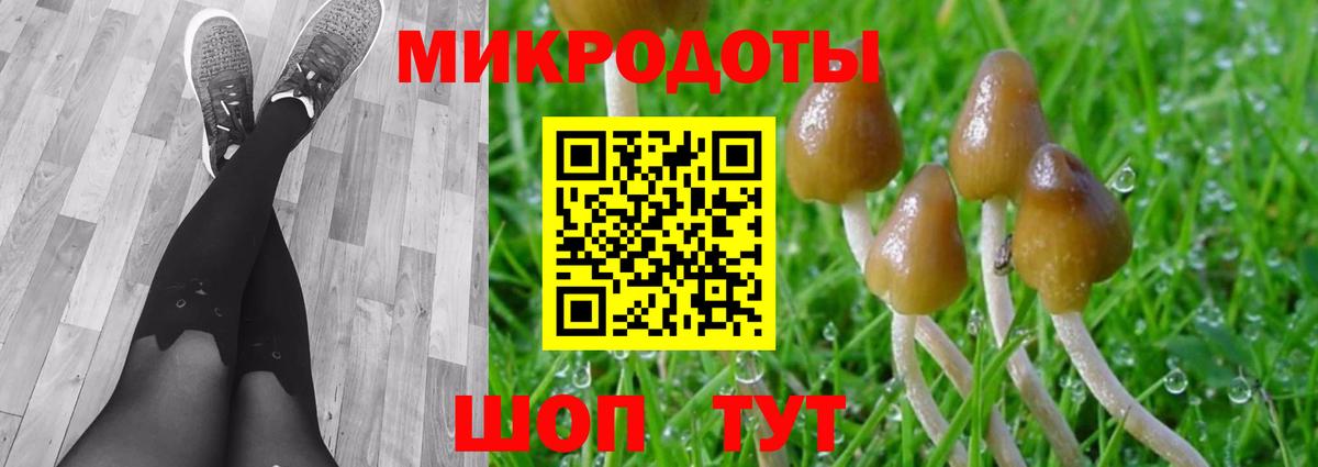 Галлюциногенные грибы Magic Shrooms  Псилоцибиновые грибы прущие грибы  Вход с VPN  Вышний Волочёк 